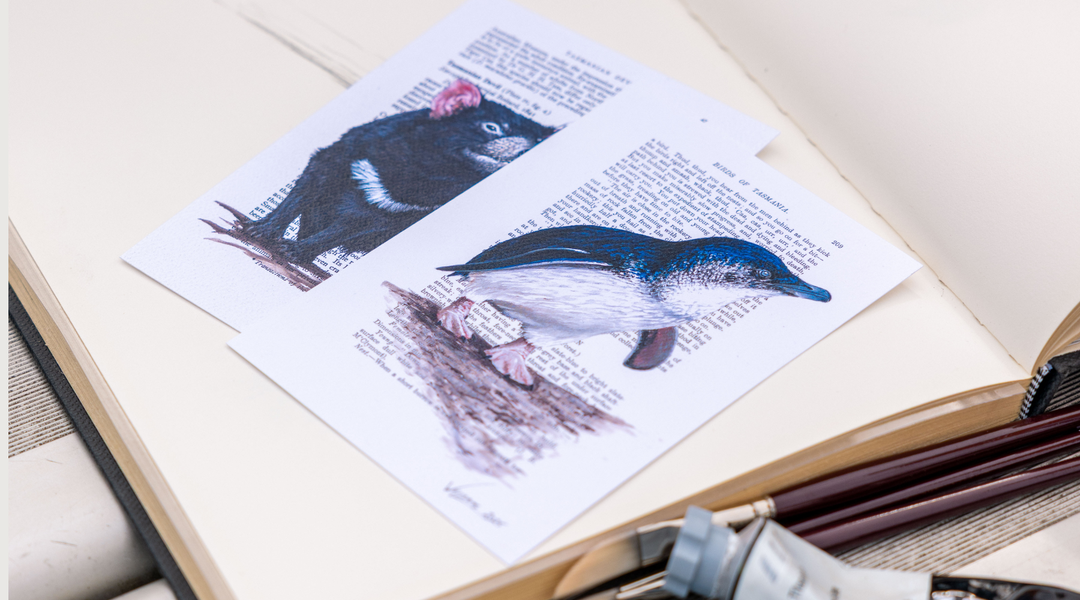 Collection Anthology: Behind the Labels
